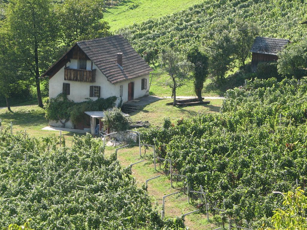 Guesthouse Zorko Gostilna Domen Smarjeske Toplice Exterior foto