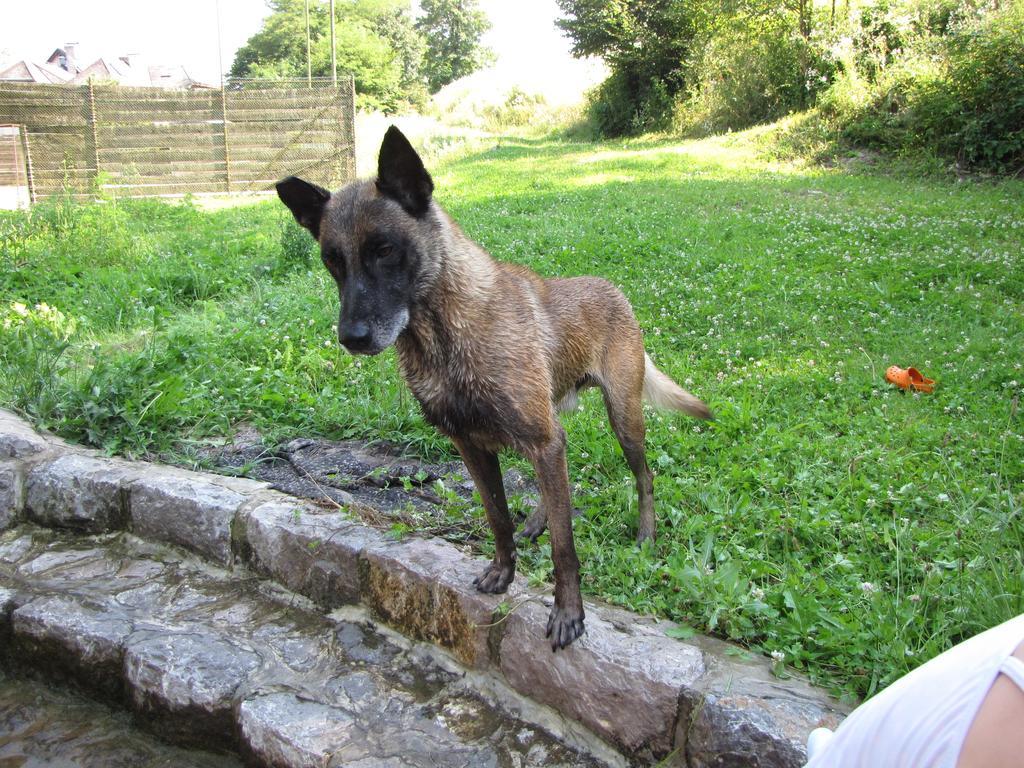 Guesthouse Zorko Gostilna Domen Smarjeske Toplice Exterior foto